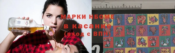 стафф Алзамай