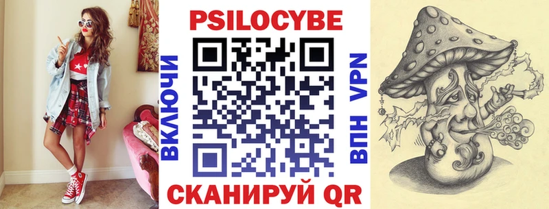 продажа наркотиков  Ефремов  блэк спрут онион  Галлюциногенные грибы Magic Shrooms 